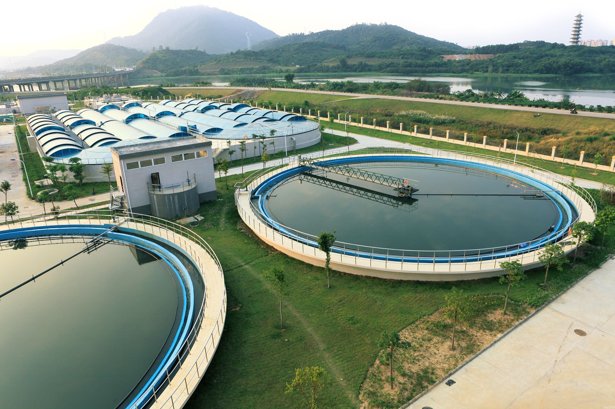 水處理生物除臭劑 水處理生物除臭劑