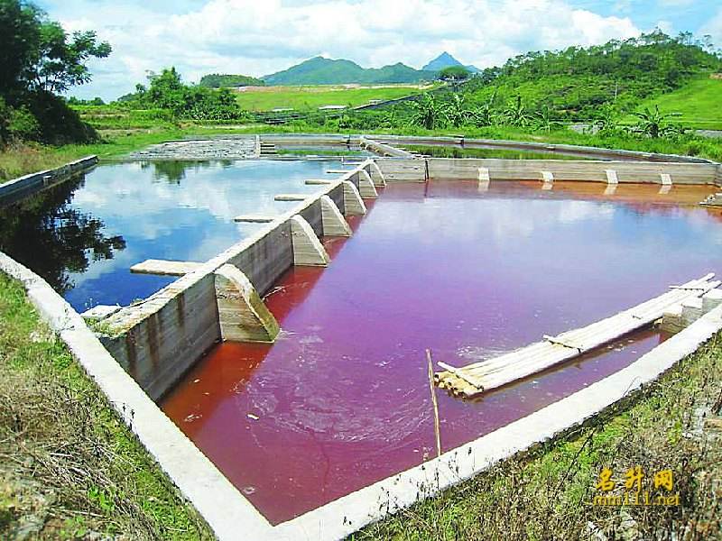 焦化廢水 焦化廢水